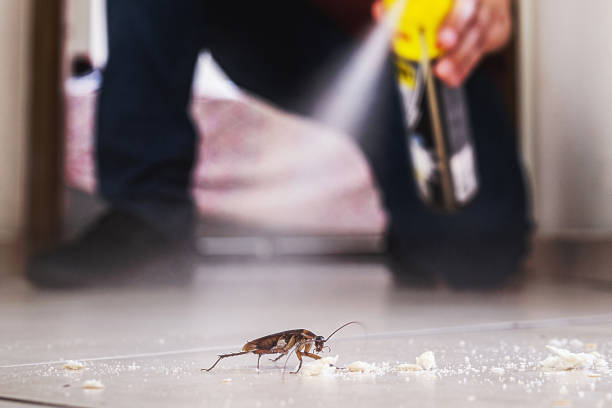 Best Best Pest Control Companies  in St Stephens, NC
